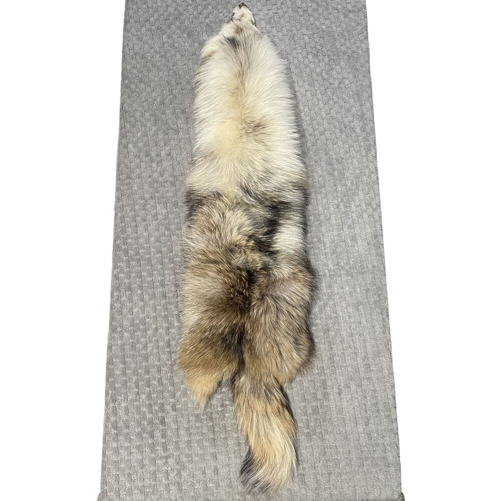 Marble Tanuki Finn Raccoon Dog Wallhanger Arctic Bicolor Taxidermy Pelt Hide Fur